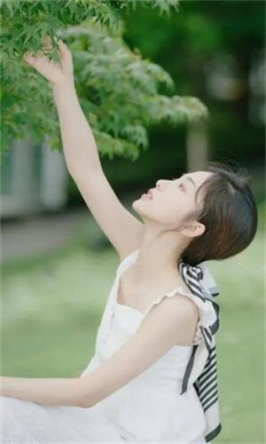 鲁鲁社下载免费下载