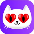 糟老头旧版本安装包下载入口