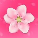抱抱影视官方版