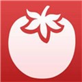 加藤视频手机版下载大全
