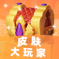 皮肤大玩家_logo
